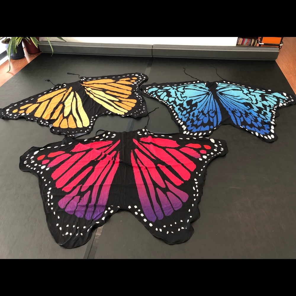 Butterfly Wings Adult Halloween Costume 🦋